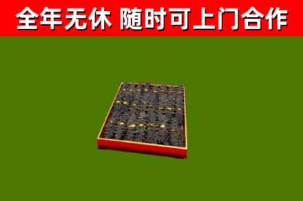 茅箭回收海参